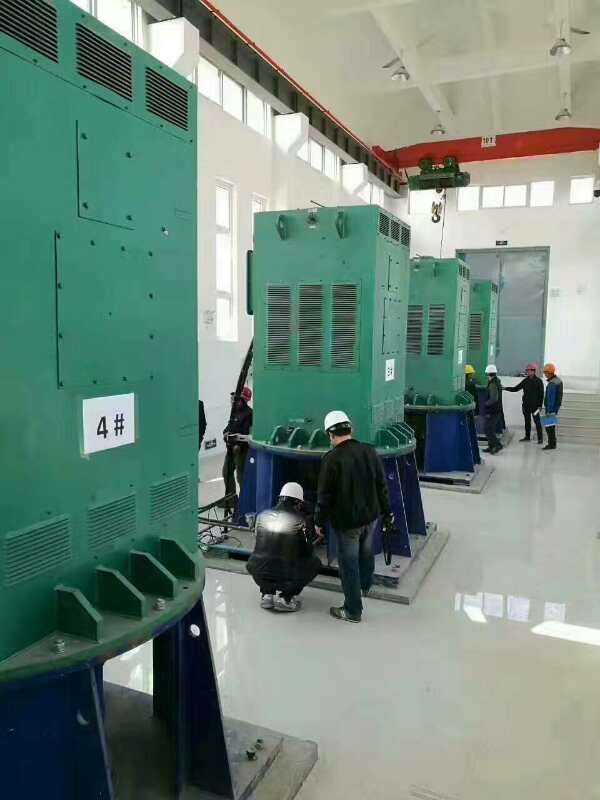 屏南某污水处理厂使用我厂的立式高压电机安装现场